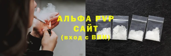 стаф Каменногорск