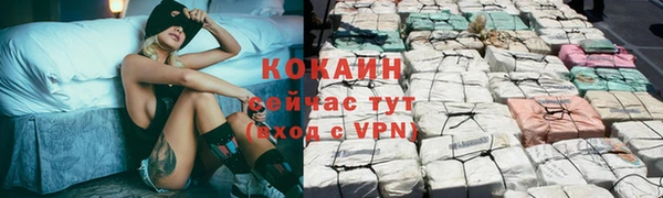 стаф Каменногорск