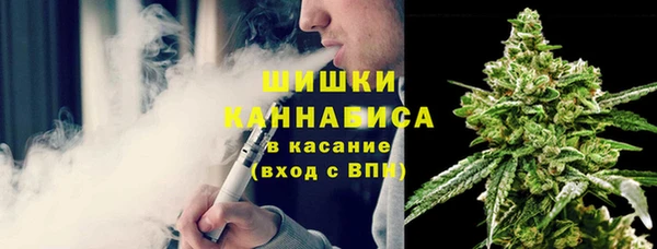 стаф Каменногорск