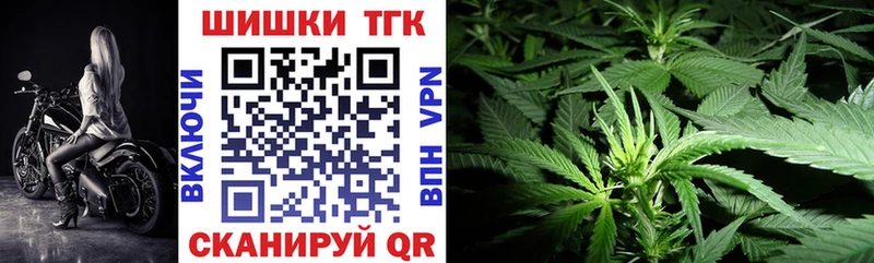Шишки марихуана план  Купить где  Салехард 